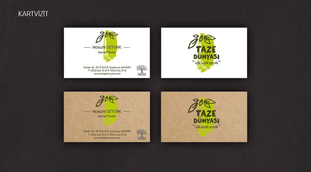 Katalog Tasarım Ankara Taze Dünyası