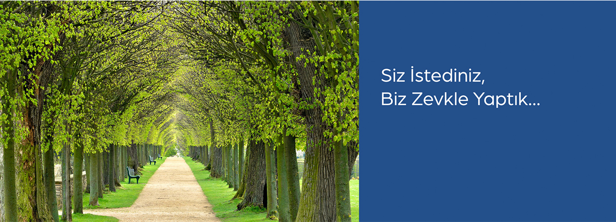 Ankara Web Yazılım Ankara Web Yazılım Dekinsan Group